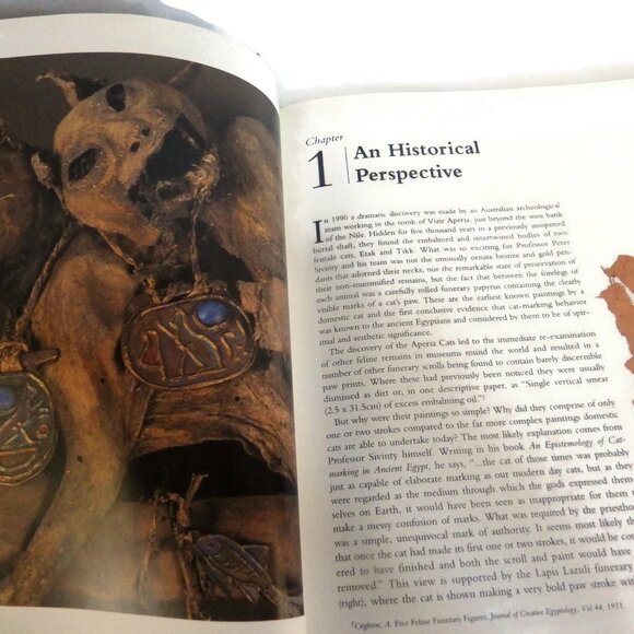 "Why Cats Paint" by Heather Busch and Burton Silver/ Cat Lovers' Book - Picture 2 of 5